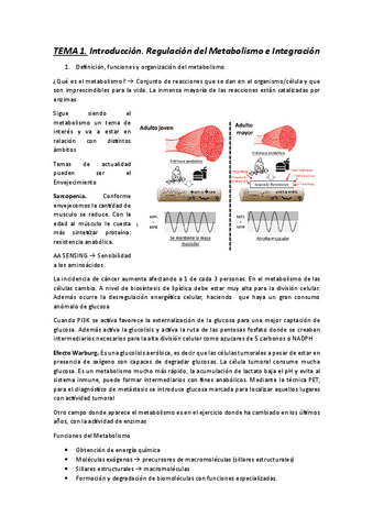 TEMA-1-BIOQUIMICA-METABOLICA-Y-MOLECULAR.pdf
