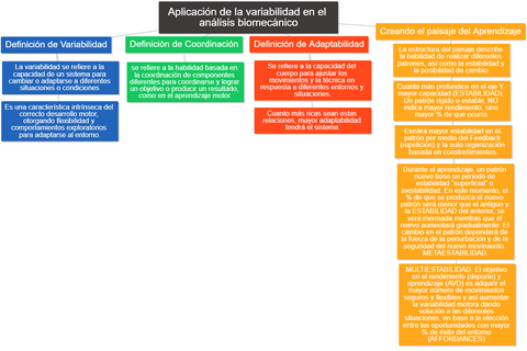 Tema-2-de-Biomecanica.png