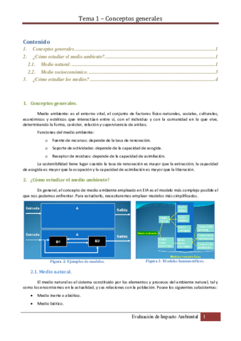 APUNTES EIA II.pdf