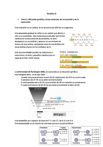 Genetica-II-Resumen.pdf