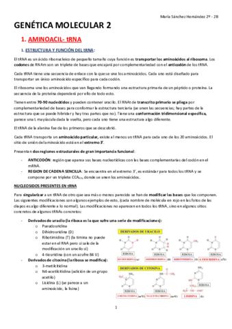 GENÉTICA MOLECULAR-2º EXAMEN.pdf