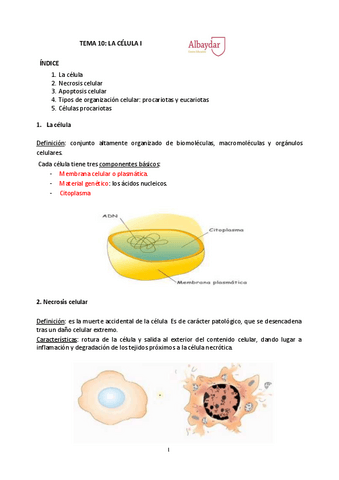 T.10-la-celula-I.pdf