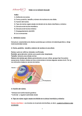 tema-13-Nucleo-Celular.pdf