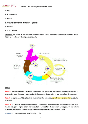 tema-14-Ciclo-Celular-y-Reproduccion-celular.pdf