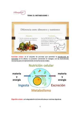 TEMA-15-METABOLISMO.pdf