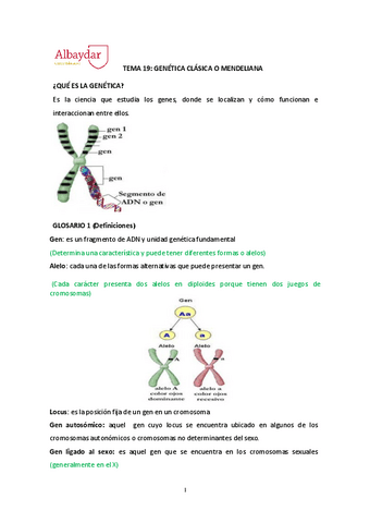 tema-19-genetica-clasica.pdf