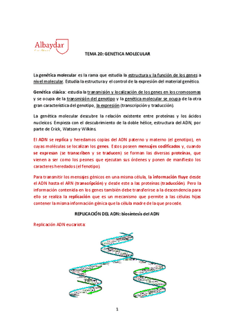 tema-20-genetica-molecular-Replicacion.pdf