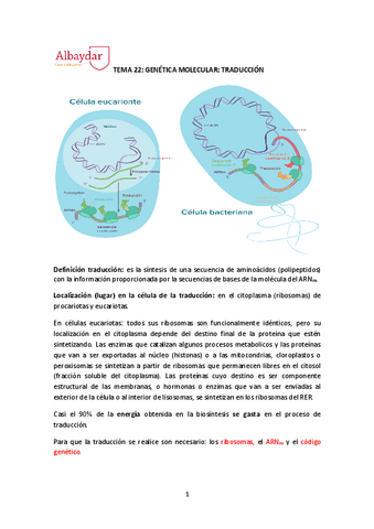 tema-22-traduccion.pdf