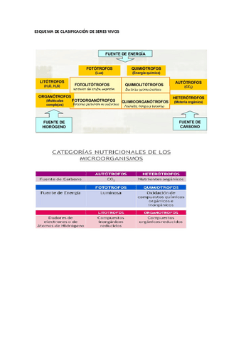ESQUEMA-DE-CLASIFICACION-DE-SERES-VIVOS.pdf