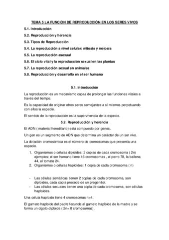 TEMA-5-DIDACTICA-DE-LAS-CIENCIAS-EXPERIMENTALES-II.pdf