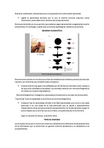 NEU-PW38MEMORIA.pdf