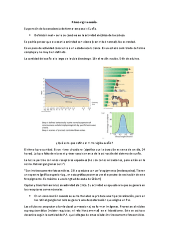 NEU-PW40-VIGILIA-SUENO.pdf