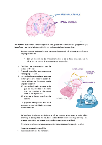 NEU-GANGLIOS-BASALES.pdf