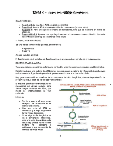 TEMA-6-VIROLOGIA.pdf