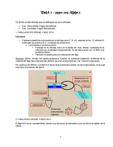 TEMA-7-VIROLOGIA.pdf