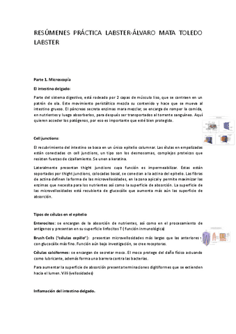 wuolah-premium-Resumenes-Labster.pdf