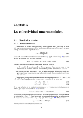 TFEII Apuntes 5 - Macrocanónica.pdf