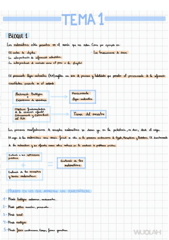 ESQUEMA-MATES.pdf
