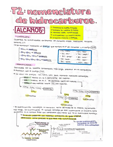 T1-T4.-Nomenclatura.pdf