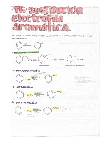 T6.-sustitucion-electrofila-aromatica.pdf