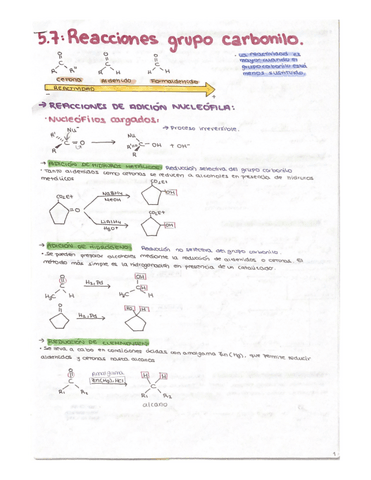 Tema-5-segunda-parte.pdf