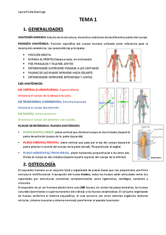 TEMA-1-Anatomia.pdf