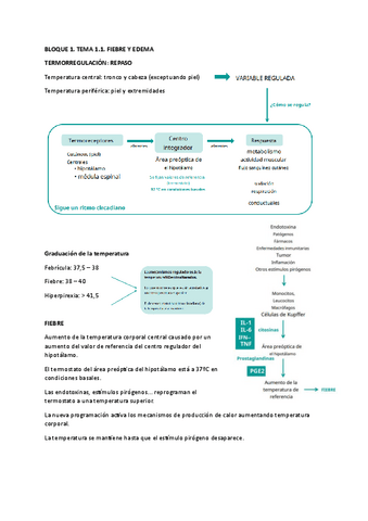 BLOQUE-1-TEMA-1.1.pdf