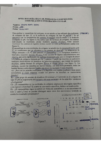 Actividades-dirigidas.pdf