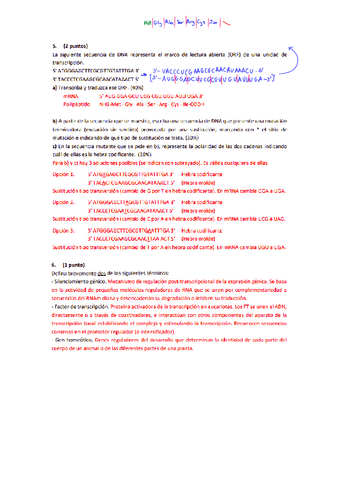 ejs-examens-p2.pdf