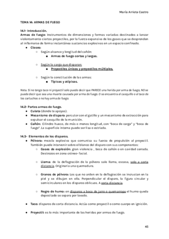 LEGAL-MAGISTRALES-TEMA-14.pdf