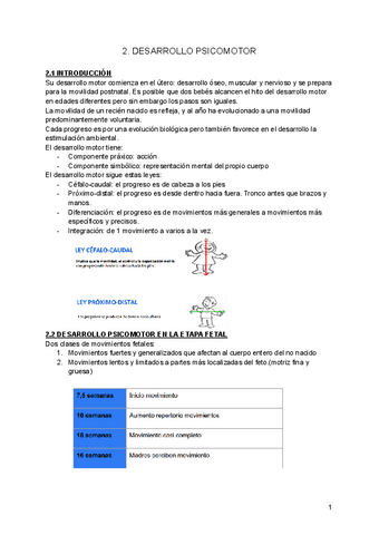 BLOQUE-II-desarrollo-psicomotor-1.pdf