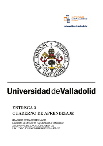 DIARIO-DE-APRENDIZAJE-3.0.docx.pdf