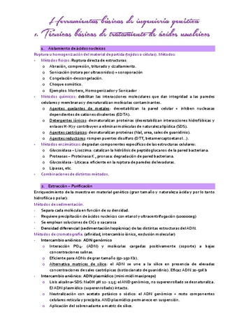 parte1-tema-2-IGM.pdf