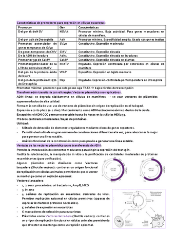 parte6-tema-3-IGM.pdf