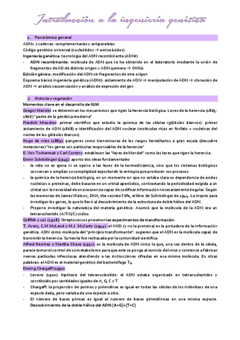 tema-1-IGM.pdf