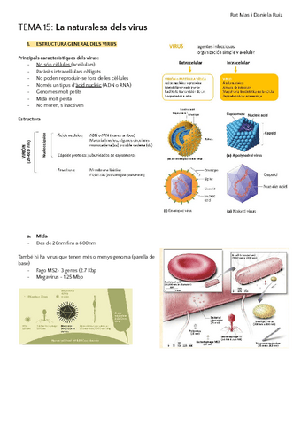 MICROBIOLOGIA-1r-semestre-BLOC-6.pdf