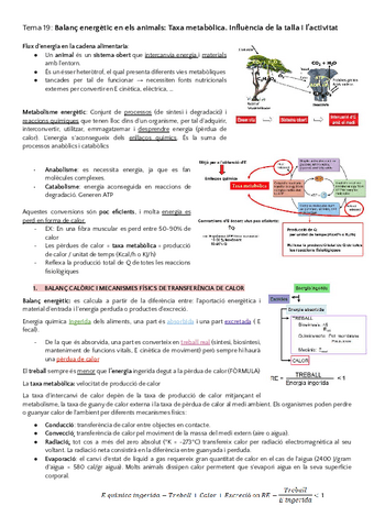 2n-Parcial-Fisiologia-Animal-BLOC-7.pdf