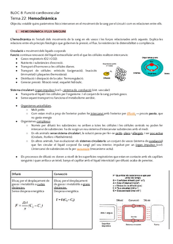 2n-Parcial-Fisiologia-Animal-BLOC-8.pdf