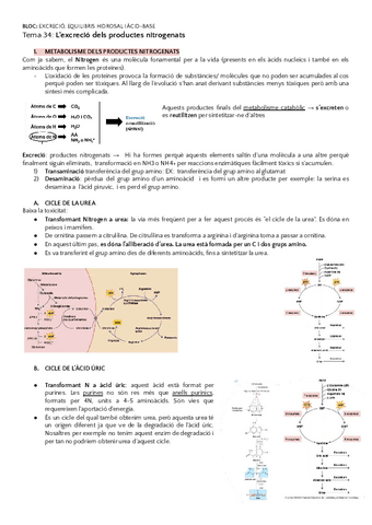 3r-parcial-Fisiologia-Animal-BLOC-10.pdf