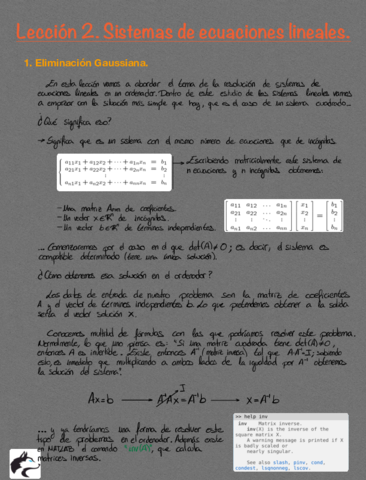 Sistemas de ecuaciones lineales. Parte 1.pdf