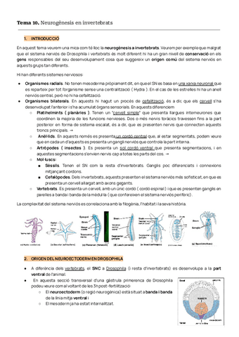 TEMAS-10-11-12-BIODES.pdf