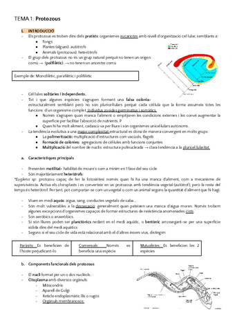ZOOLOGIA-PRIMER-SEMESTRE.pdf