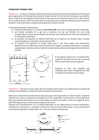 PROBLEMAS-ENGINYERIA-GENETICA.pdf