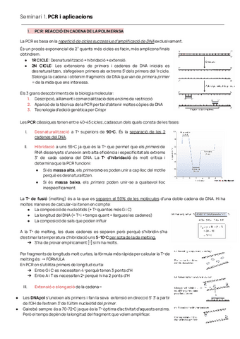 SEMINARIS-ENGINYERIA-GENETICA.pdf
