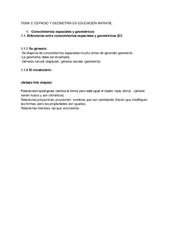 Tema-2-espacio-y-geometria-en-Educacion-Infantil.pdf