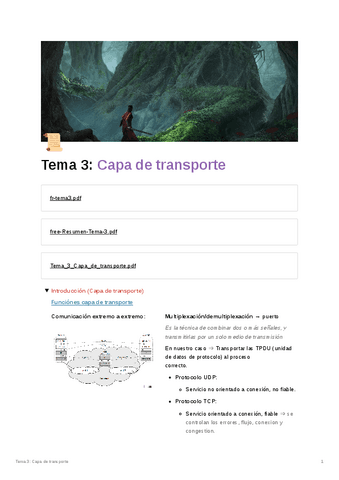 Tema-3-Capa-de-transporte.pdf