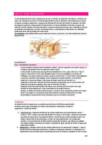 anatomia-apuntes-sistema-tegumentario.pdf