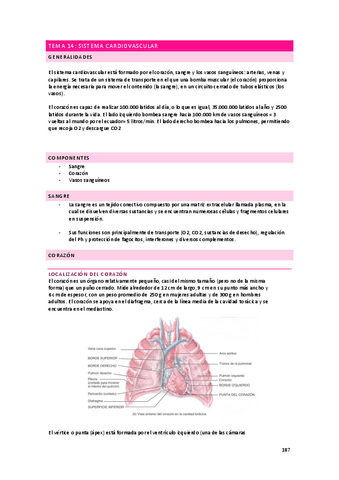 anatomia-apuntes-sistema-circulatorio.pdf
