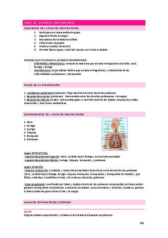 anatomia-apuntes-sistema-respiratorio.pdf