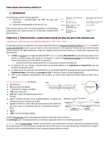 PRACTIQUES-ENGINYERIA-GENETICA.pdf